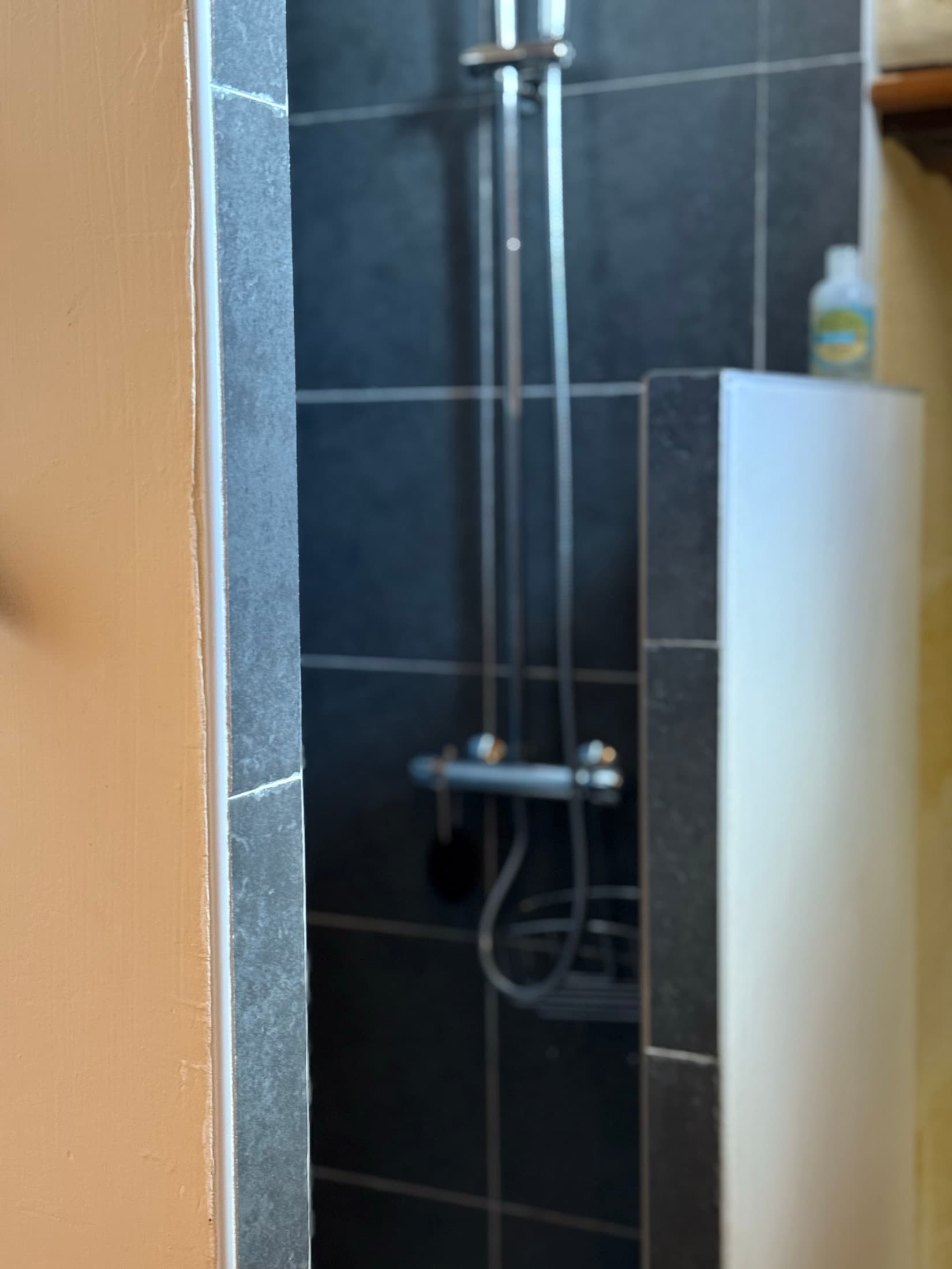 Douche de la chambre Aliénor